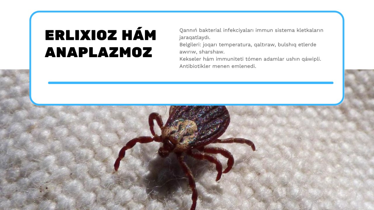topics-img